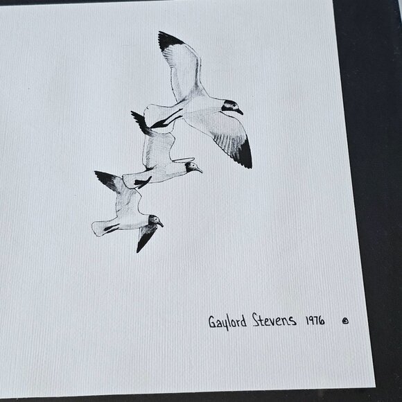 Gaylord Stevens Nautical Pen & Ink Prints Framed Art Seagull Ship Set 1975 1976 - Picture 8 of 9